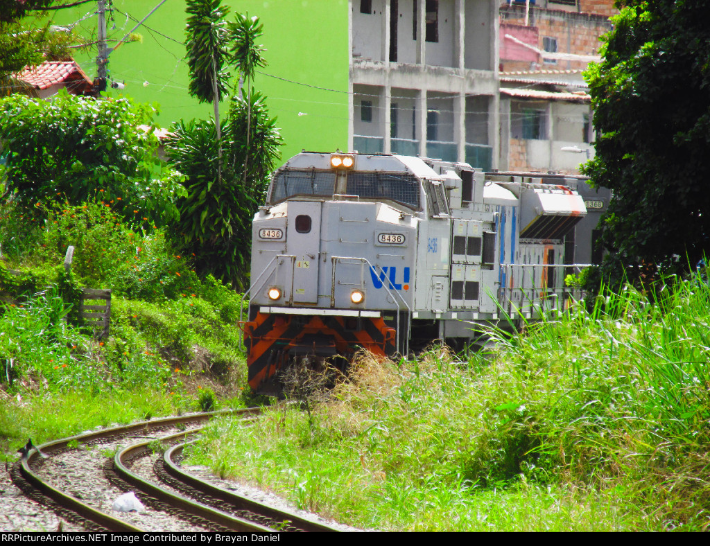 VLI 8436